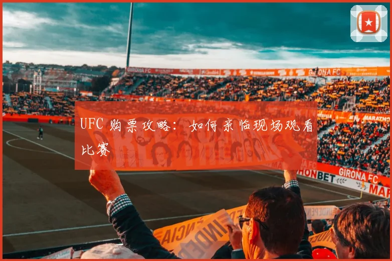 UFC 购票攻略:如何亲临现场观看比赛