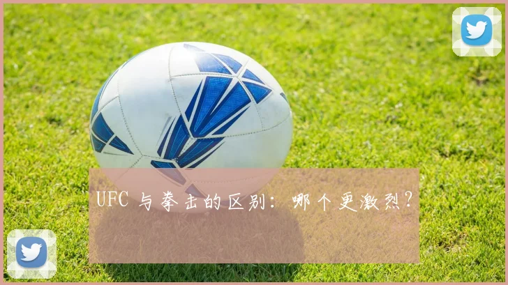 UFC 与拳击的区别：哪个更激烈？