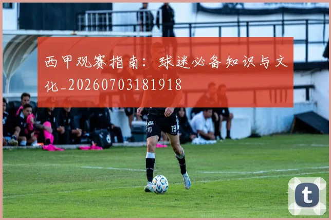 西甲观赛指南:球迷必备知识与文化_20260703181918