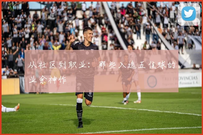 从社区到职业:那些入选五佳球的业余神作